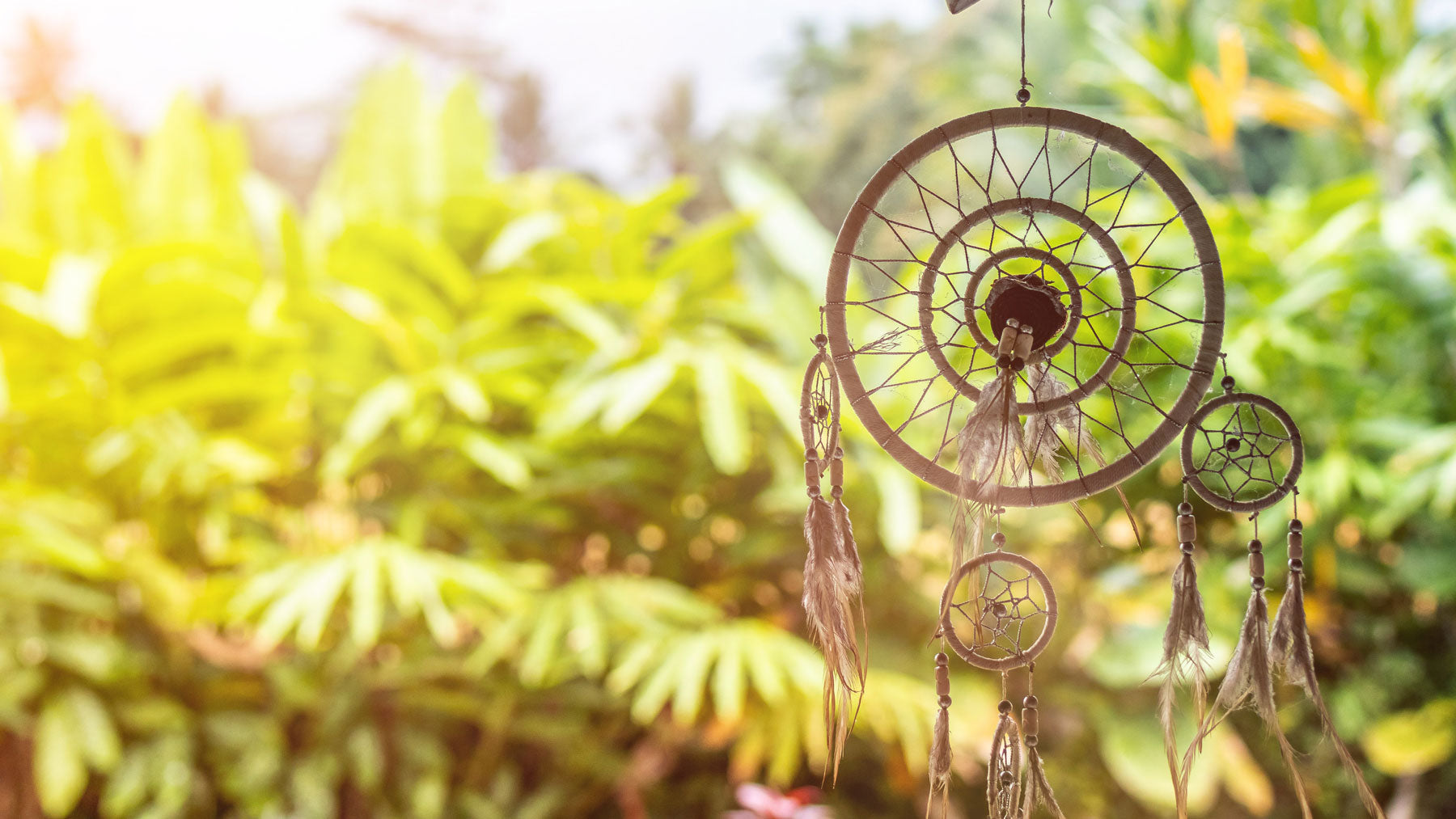 Dreamcatchers
