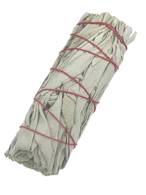 California White Sage, ethically sourced & produced - 10cm, 12 cm or 22cm