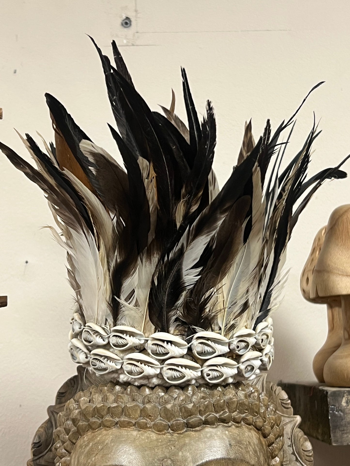 Headdress feathers -Various
