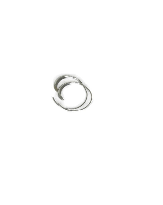 Silver Earings