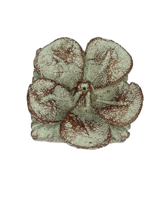 Medium flower incense holder