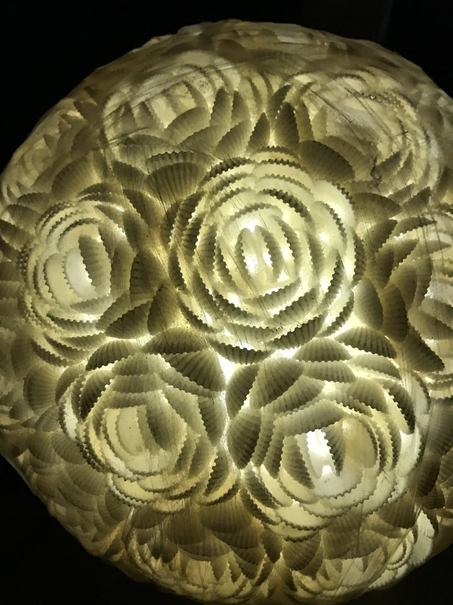 White Ark Shell Sphere Lamp