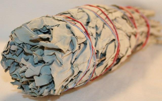 California White Sage, ethically sourced & produced - 10cm, 12 cm or 22cm