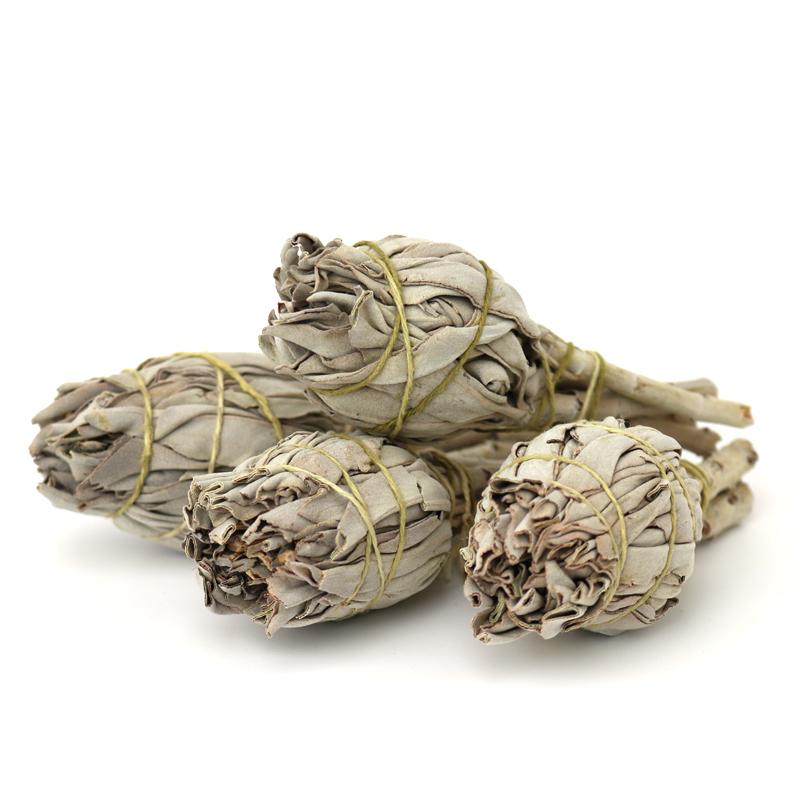 California White Sage, ethically sourced & produced - 10cm, 12 cm or 22cm