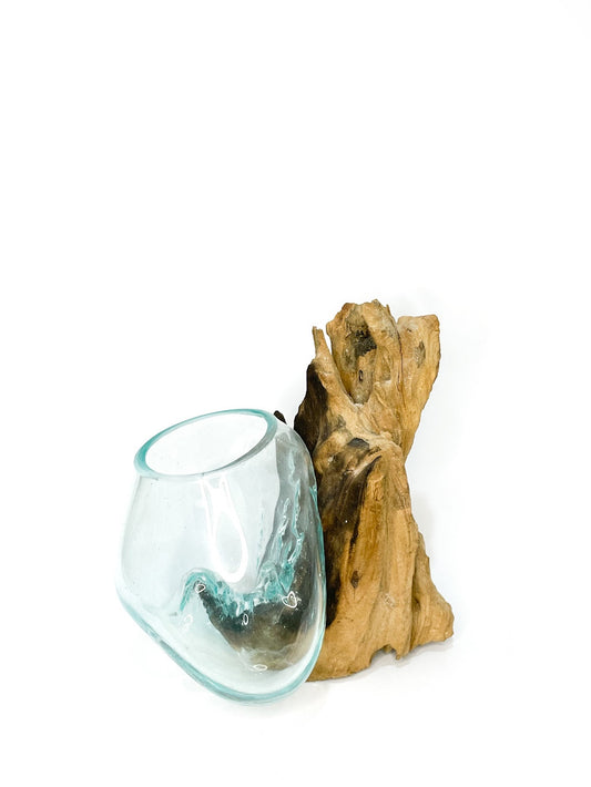 Root wood and glass vase - 17cm
