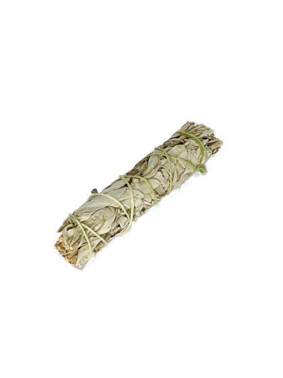California White Sage, ethically sourced & produced - 10cm, 12 cm or 22cm