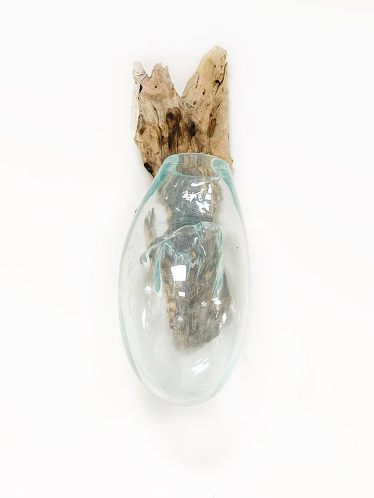 Root wood and glass vase wall hanging - 53cm