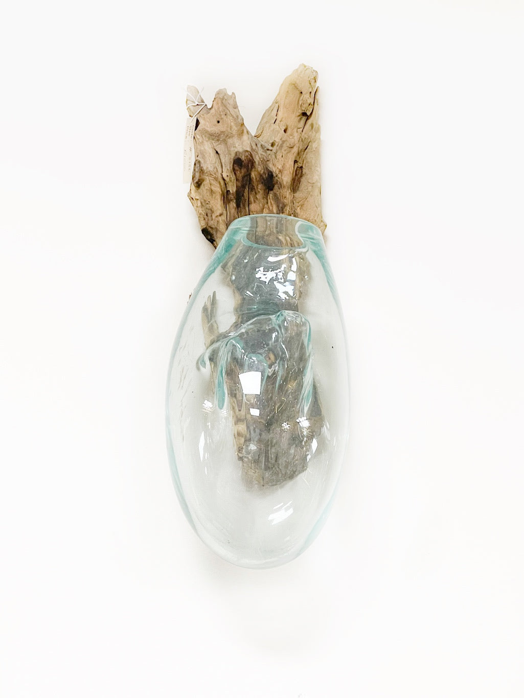 Root wood and glass vase wall hanging - 53cm