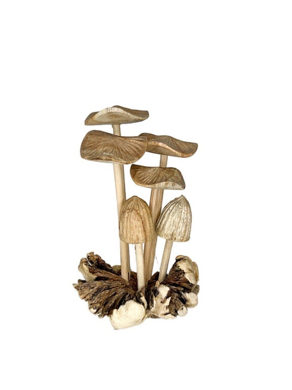 Small Wooden mushrooms- six stems 11cm