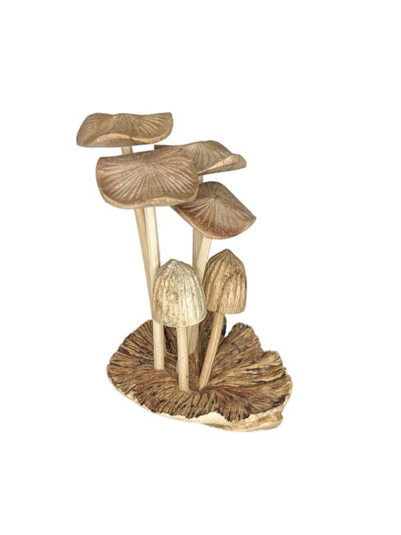 Small Wooden mushrooms- six stems 11cm