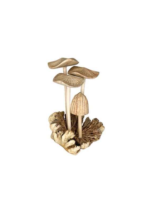 Wooden mushroom mix 10cm- various