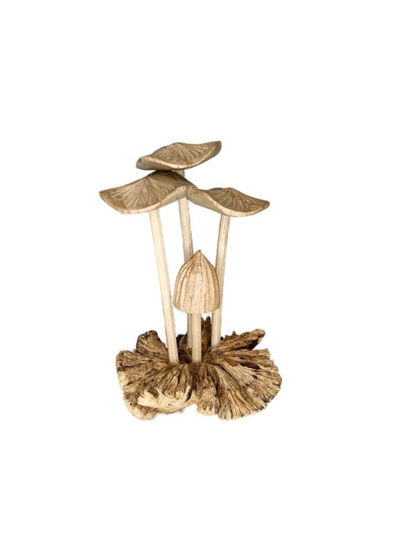 Wooden mushroom mix 10cm- various