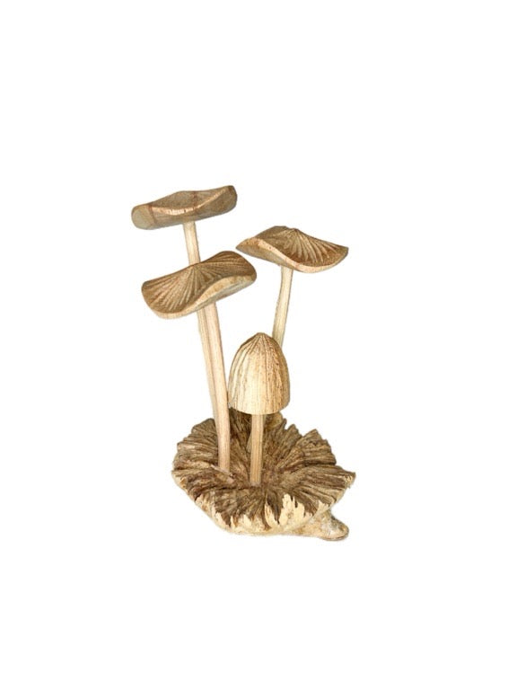 Wooden mushroom mix 10cm- various