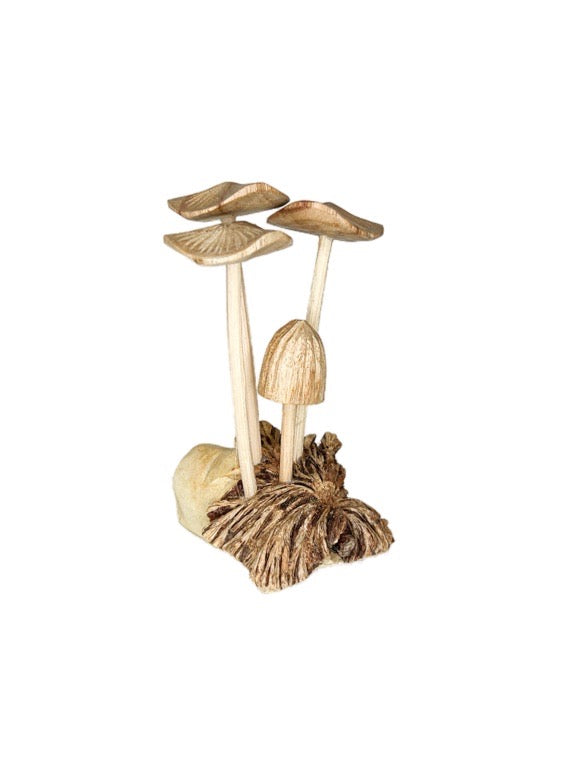 Wooden mushroom mix 10cm- various