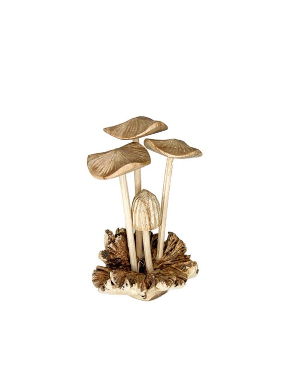 Wooden mushroom mix 10cm- various