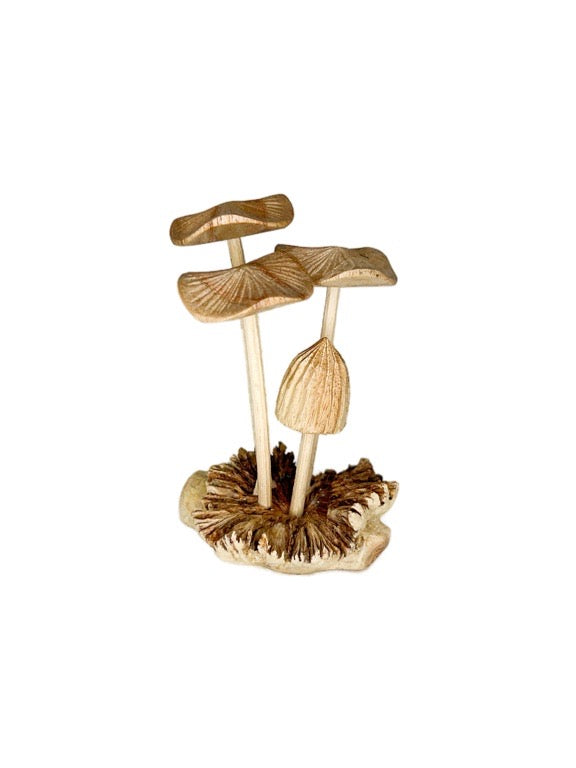 Wooden mushroom mix 10cm- various