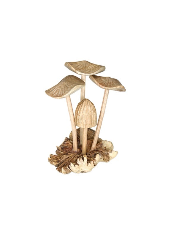 Wooden mushroom mix 10cm- various