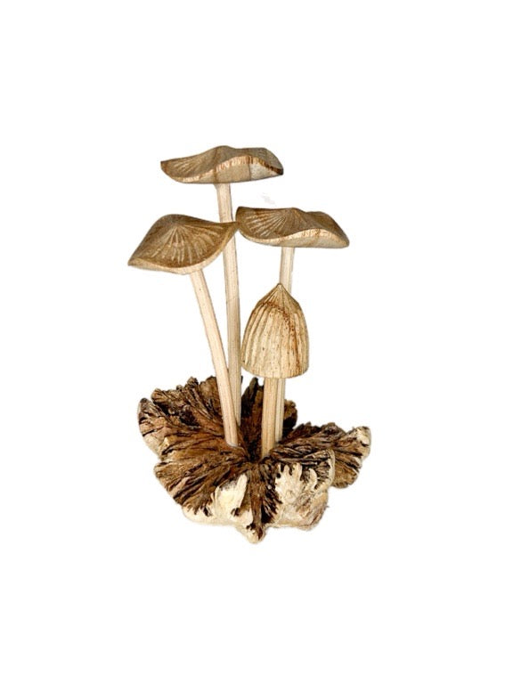 Wooden mushroom mix 10cm- various