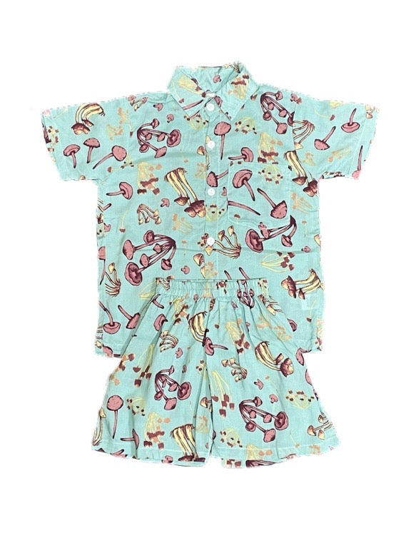 Boys printed shirt & shorts set - various