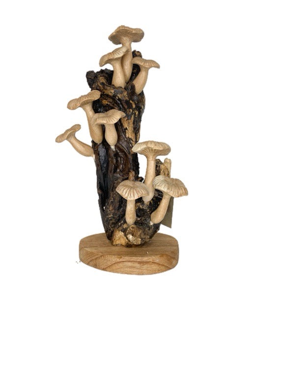 Large wooden mushroom +/- 30cm - various