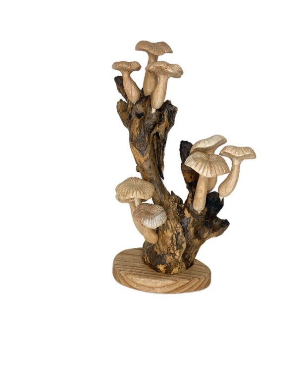 Large wooden mushroom +/- 30cm - various