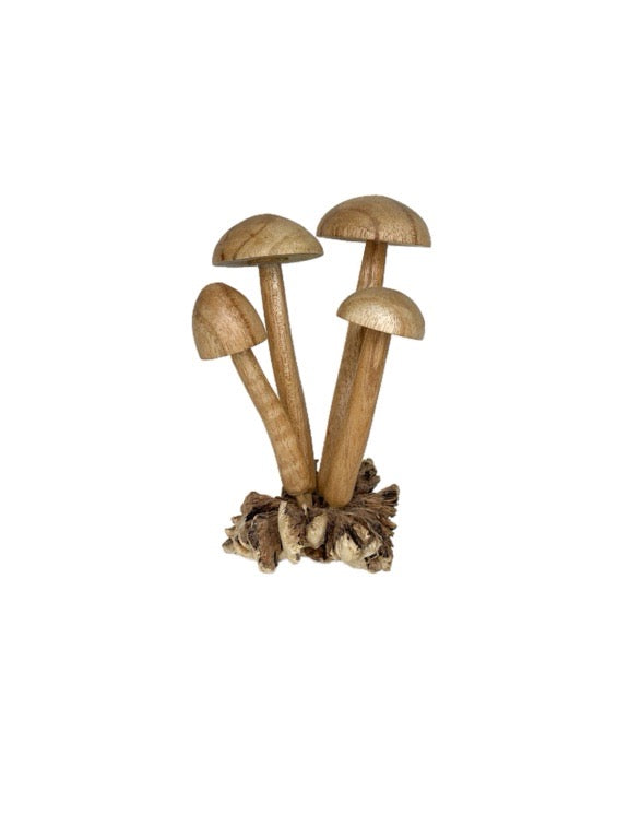 Four cap mushrooms 15cm