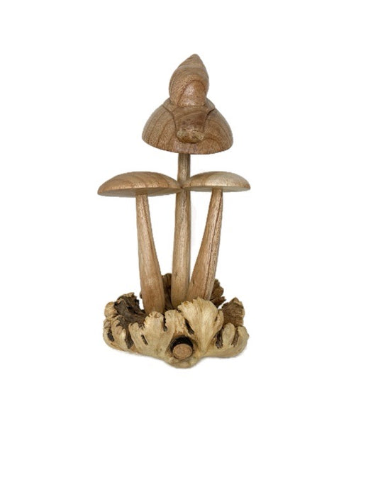 Mushroom and Snail root wood 21 cm