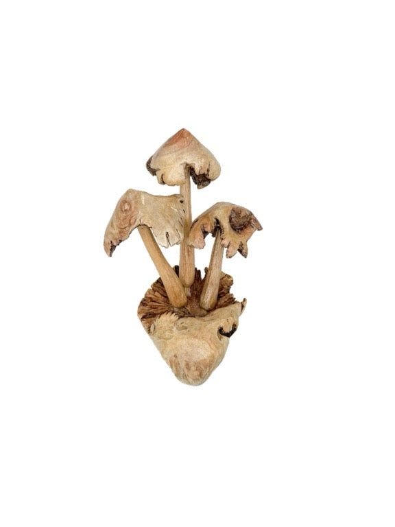 Wooden mushroom trio 15cm- various