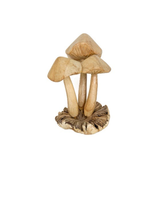 Wooden mushroom trio 15cm- various