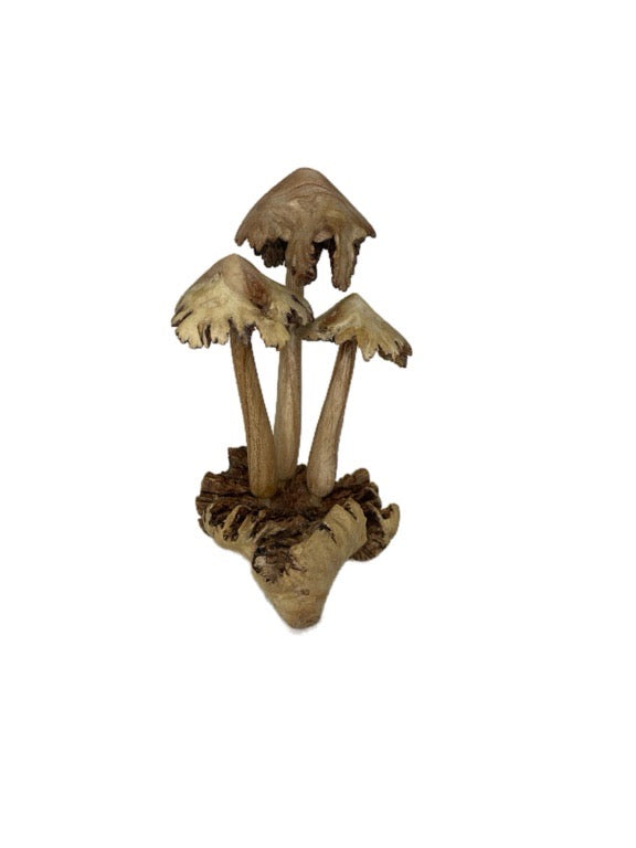 Wooden mushroom trio 15cm- various