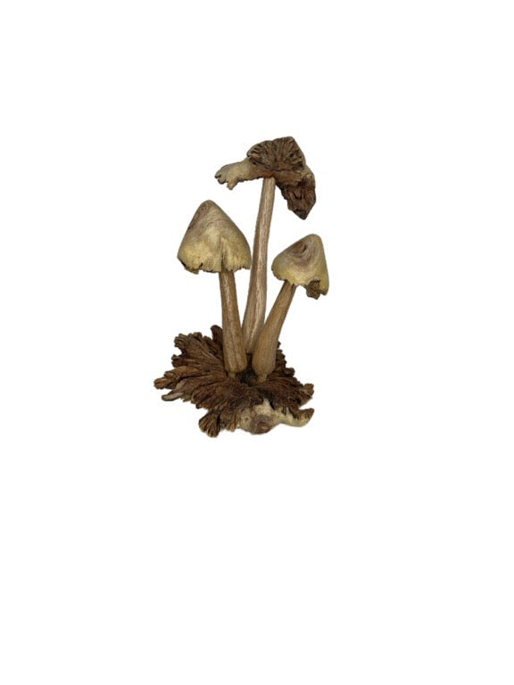 Wooden mushroom trio 15cm- various