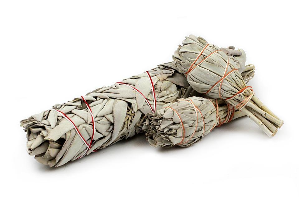California White Sage, ethically sourced & produced - 10cm, 12 cm or 22cm
